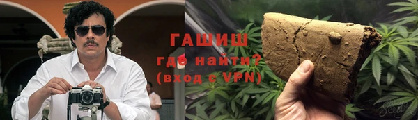 хмурый Арсеньев