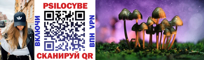 Галлюциногенные грибы Psilocybine cubensis  Тверь 