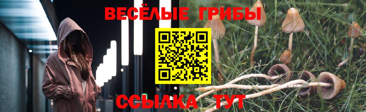 Галлюциногенные грибы Psilocybe  где купить наркоту  Галлюциногенные грибы мухоморы  Тверь  Вход с VPN 